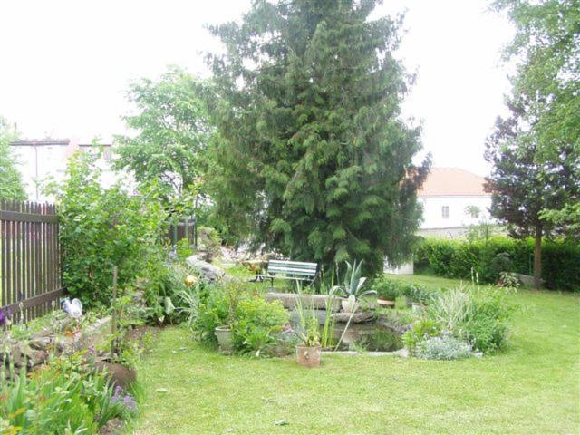 Penzion U Pesku Horní Planá Dış mekan fotoğraf