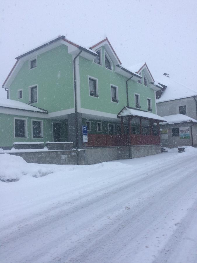 Penzion U Pesku Horní Planá Dış mekan fotoğraf