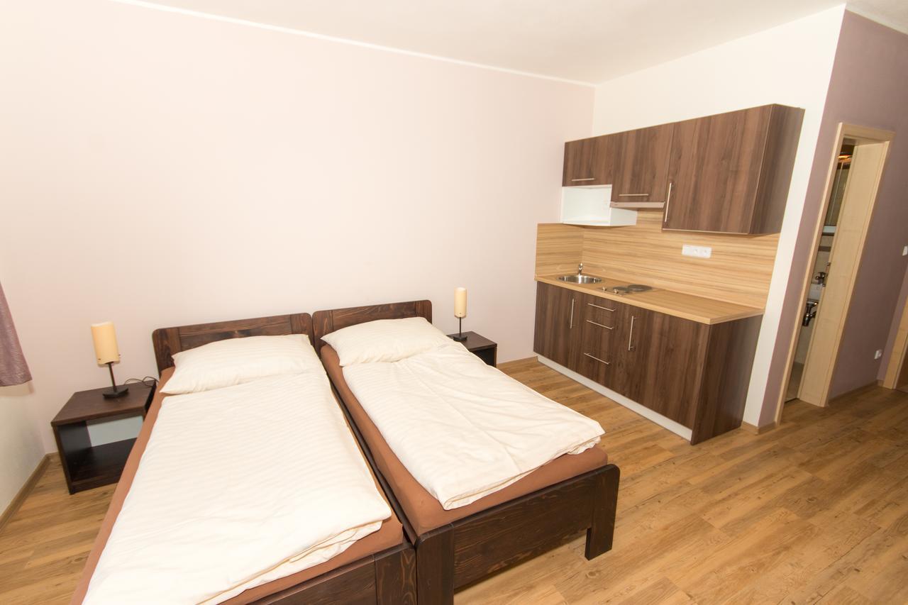 Penzion U Pesku Horní Planá Dış mekan fotoğraf
